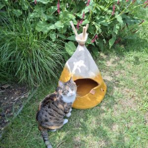 Tombola: Tipi