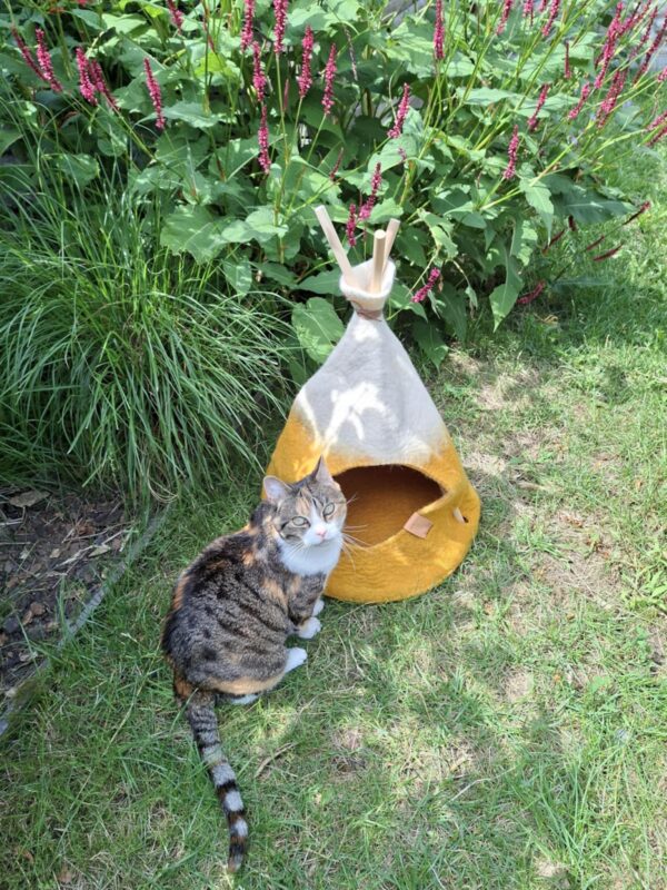 Tombola: Tipi