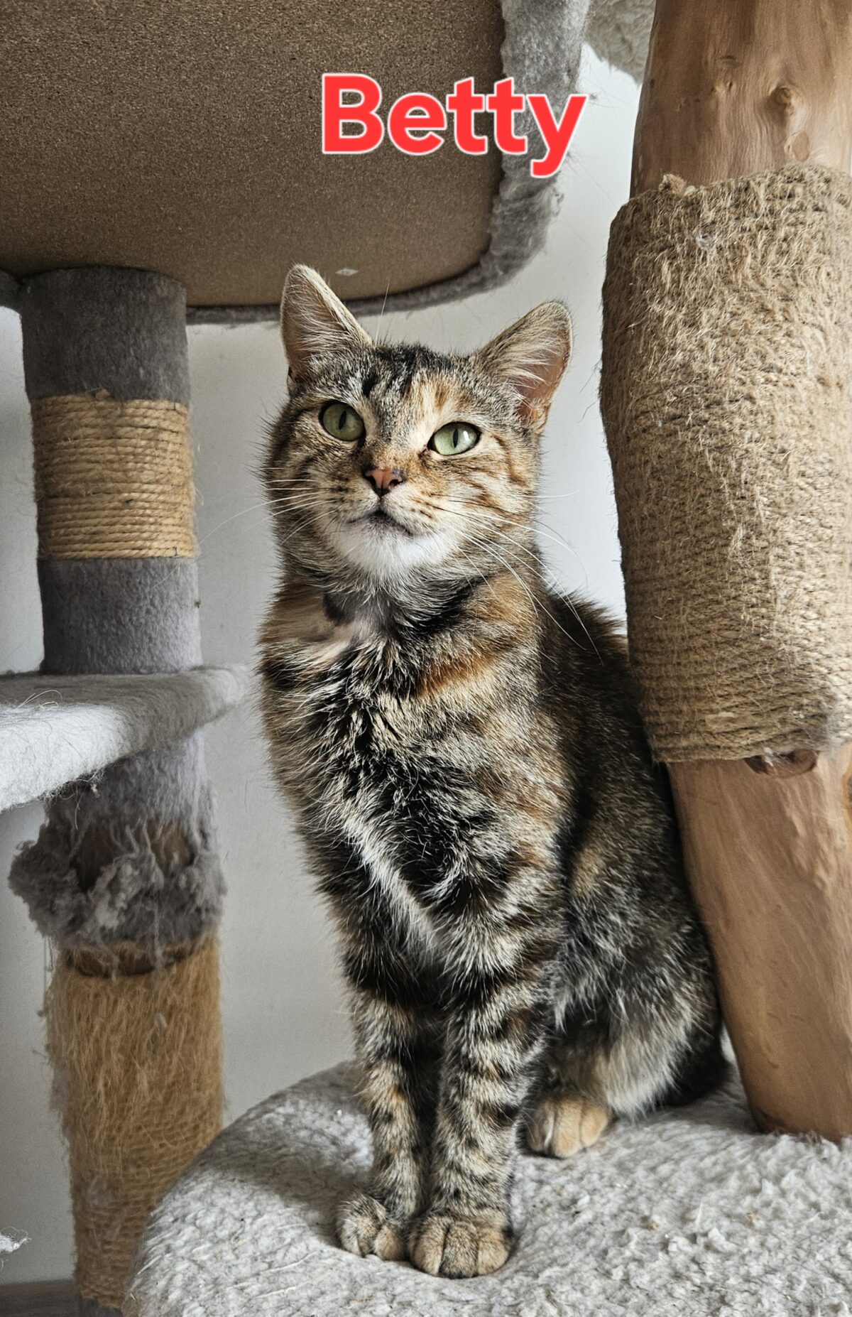 Picture of Betty