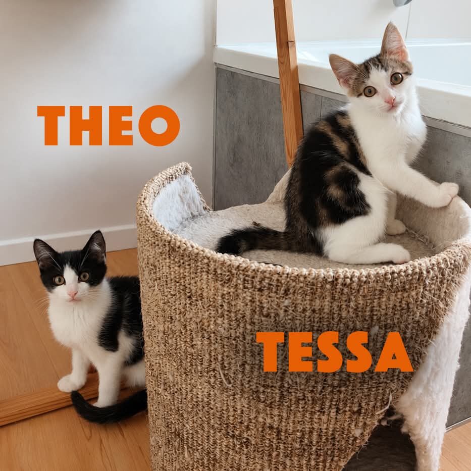 Picture of Duo Theo & Tessa